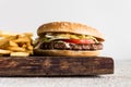 Close-up of homemade big tasty burger with fries