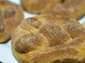 Close-up of homemade bread bun with shiny crystals of sugar on top