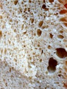 Close-up of homemade bread crumbs. Air bubbles from leavening are evident