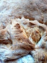 Close-up of homemade bread crust.  Air bubbles from leavening are evident Royalty Free Stock Photo