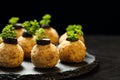 Close up of homemade delicious, healthy and non fried chicken balls appetizer with boiled chicken fillet, light mayonnaise, yellow Royalty Free Stock Photo