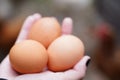 Close up of homemade eggs in woman hand. Female holding three eggs outdoor