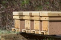 Close up of Honey Bee hives