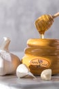 A close up of a honey dipper dripping with honey into a honey pot and surrounded by garlic. Royalty Free Stock Photo