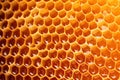 Close-up of Honey-filled Hexagonal Cells: Concept for Healthy Natural Sweeteners, Detailed Macro Photography, and Intricate