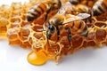 Close-Up of Honeybee on Honeycomb with Fresh Honey Drop, Generative AI Royalty Free Stock Photo