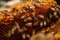 close-up of honeycomb, with busy bees working to make their sweet harvest