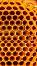 A close up of a honeycomb with lots and lots of holes, AI