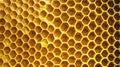 Close Up of Honeycomb Pattern with Intricate Hexagonal Beeswax Cells in a Natural Beehive Royalty Free Stock Photo