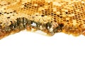 Honeycomb patterns texture with honey drip top view isolated on white background with clipping path