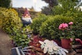 Close up horizontal shot of flower garden with gardening gloves and tools, flowers, flower pot, and a blurred dwarf in the