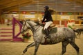 close-up of horse during a competition