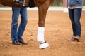 Close up of horse legs in the arena and coach standing near