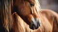 A close up of a horse with long hair, AI