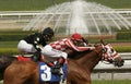 Close-Up of Horse Race with Fountain Royalty Free Stock Photo
