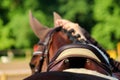 Close up of horse saddle on the horse back