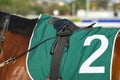Close-up of a horseback under a racing saddle Royalty Free Stock Photo