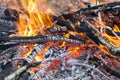 Close up of hot burning fire wood coal