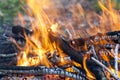 Close up of hot burning fire wood coal Royalty Free Stock Photo