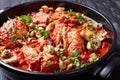 Close-up of hot Chicken Cacciatore, top view Royalty Free Stock Photo