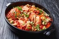Close-up of hot Chicken Cacciatore, top view Royalty Free Stock Photo