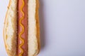 Close-up of hot dog served with mustered sauce on white background with copy space