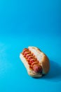 Close-up of hot dog with tomato and mustered sauce over blue background with copy space