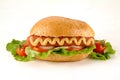 Hot dog with wurstel, cheese, tomatoes, salad and mustard Royalty Free Stock Photo