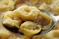 Closeup on hot tortellini with parmesan