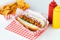 Close up of a hotdog in a red and white checkered tray with a bottle of ketchup and mustard and potato chips in behind. Royalty Free Stock Photo