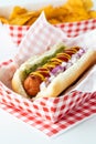 Close up of a hotdog in a red and white checkered tray with potato chips in behind, ready for eating. Royalty Free Stock Photo