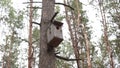 Wooden birdhouse hanging on tree in forest. Close-up of house for birds on branch of tree trunk.