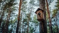 Wooden birdhouse hanging on tree in forest. Close-up of house for birds on branch of tree trunk.