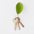 Close up of house keys and green leaf