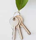 Close up of house keys and green leaf
