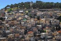 Close up of the houses and buildings of old jerusalem, the green trees the roads.