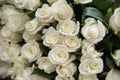 close-up of a huge bouquet of white roses Royalty Free Stock Photo