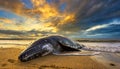 Dead Humpback Whale Beached on a Sandy Beach - Generative Ai