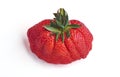 Close-up on a huge ugly strawberry on white background