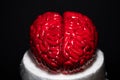 Close up of Human brain Anatomical Model, cake art concept image, brain from sugar paste. Sugar art Royalty Free Stock Photo