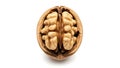 A walnut halves of a human brain on a white background (ai generated) Royalty Free Stock Photo