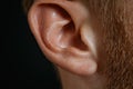 Close-up of a human ear with fine hair. Royalty Free Stock Photo