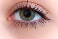 Close up of the human eye Royalty Free Stock Photo