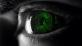 Close-up of human eye, biometric security system, retinal recognition