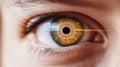 Close-up of human eye, biometric security system, retinal recognition