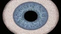 Close-up of Human Eye with Blue Iris and Binary Code Background Royalty Free Stock Photo