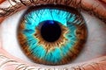 Close-up of human eye with blue iris. Macro