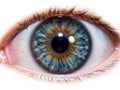 Close-up of a human eye with detailed iris patterns Royalty Free Stock Photo