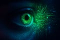 Close up of a human eye with glowing green digital data streams emanating from it Royalty Free Stock Photo