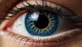 Close up of a human eye, looking at camera, blue iris generated by AI Royalty Free Stock Photo